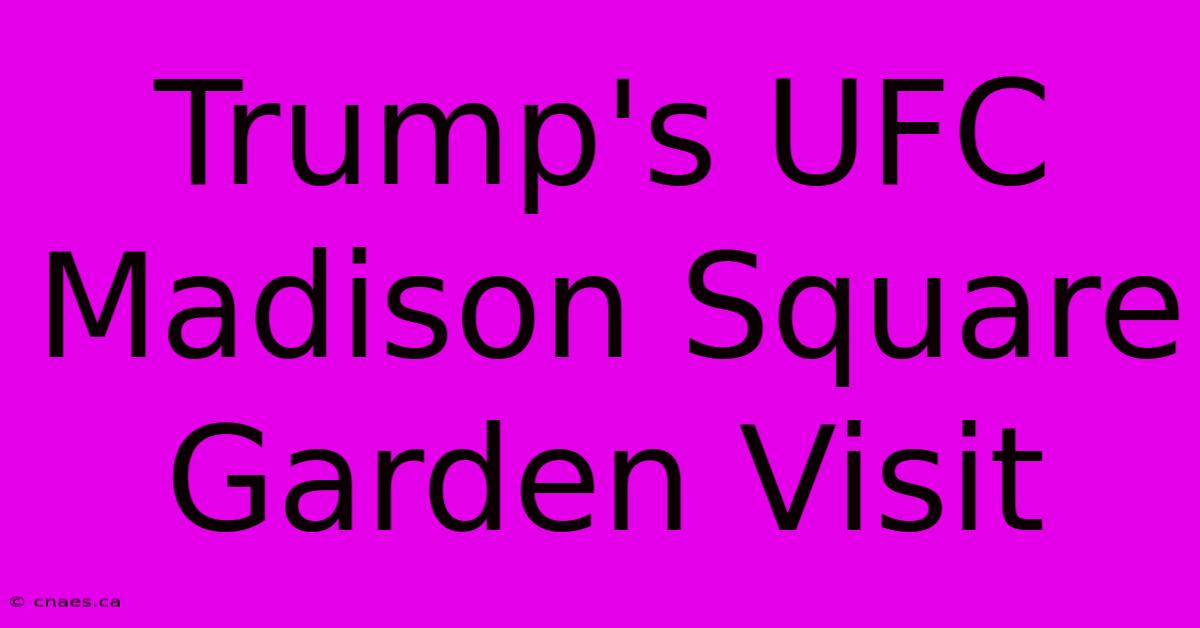 Trump's UFC Madison Square Garden Visit