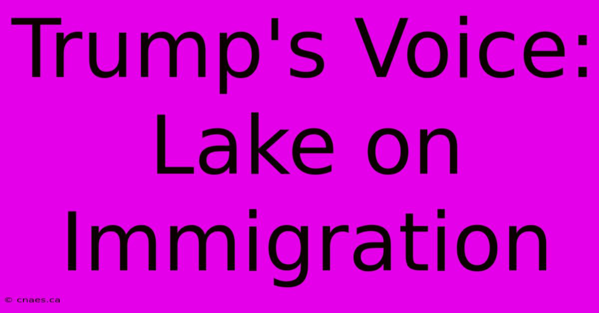 Trump's Voice: Lake On Immigration