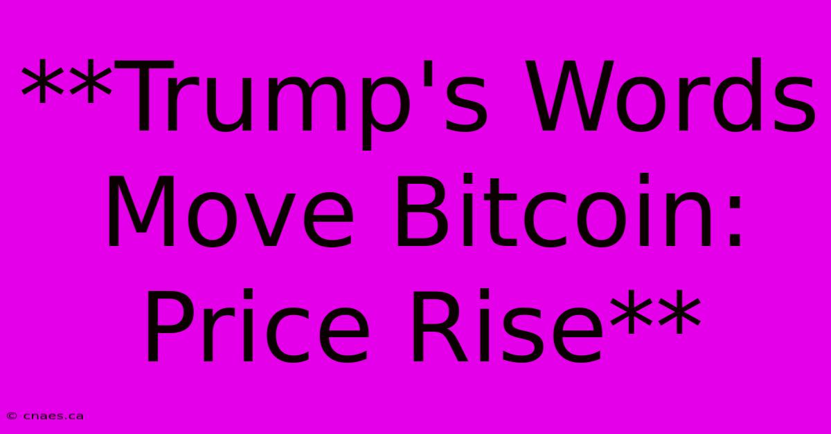 **Trump's Words Move Bitcoin: Price Rise**