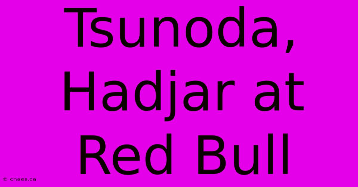 Tsunoda, Hadjar At Red Bull