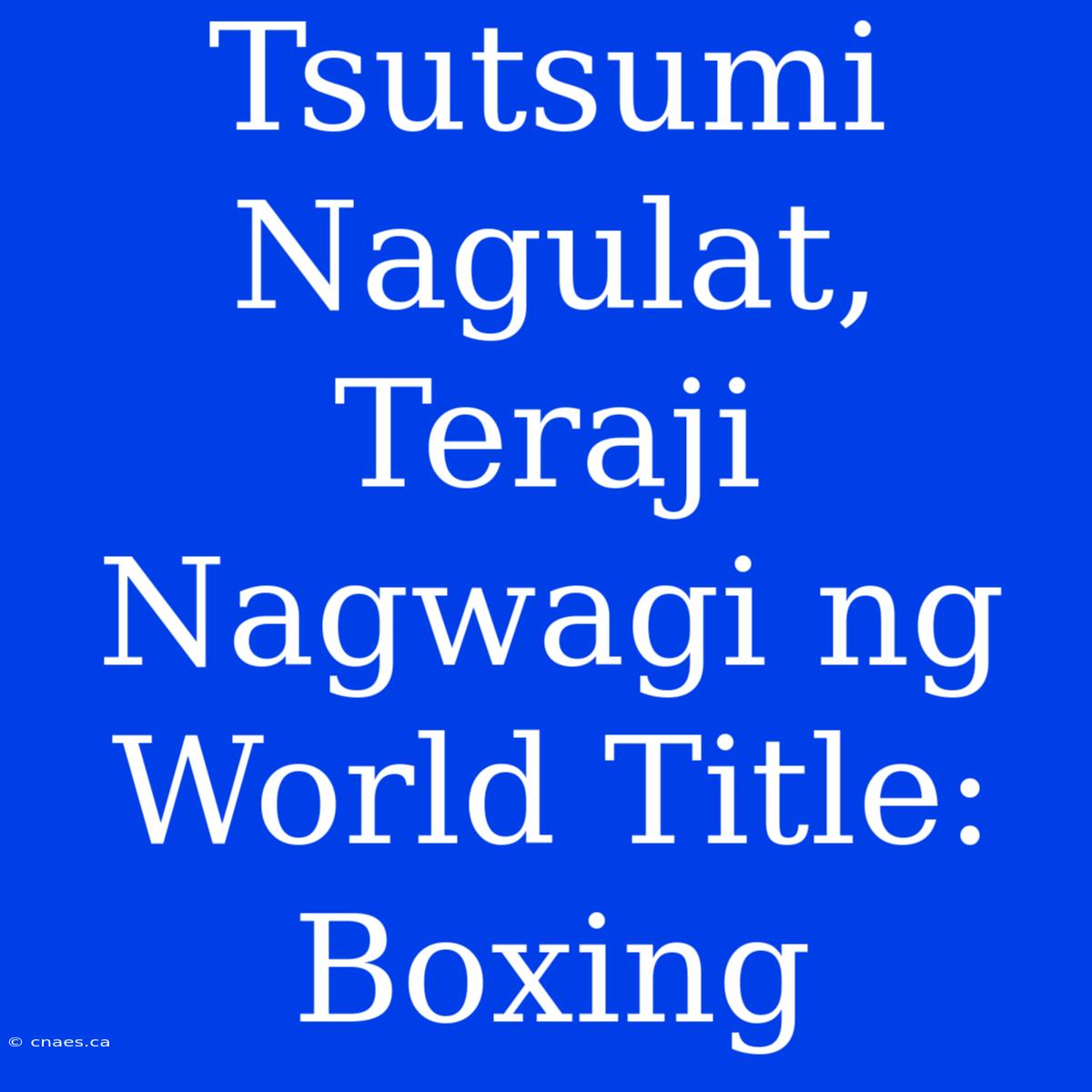 Tsutsumi Nagulat, Teraji Nagwagi Ng World Title: Boxing