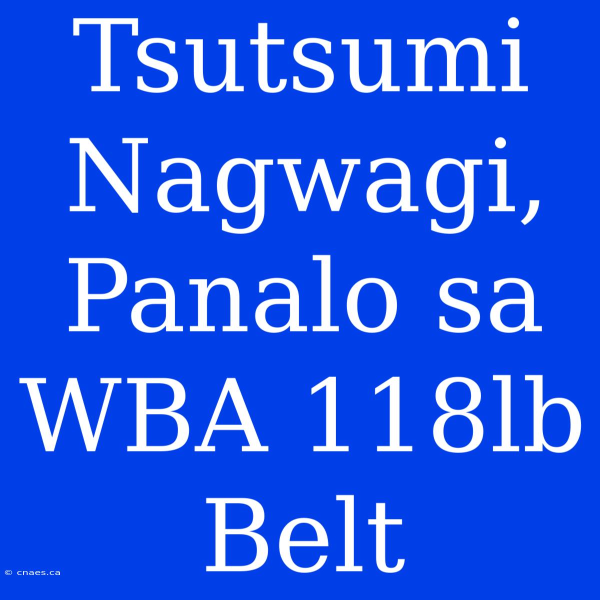 Tsutsumi Nagwagi, Panalo Sa WBA 118lb Belt