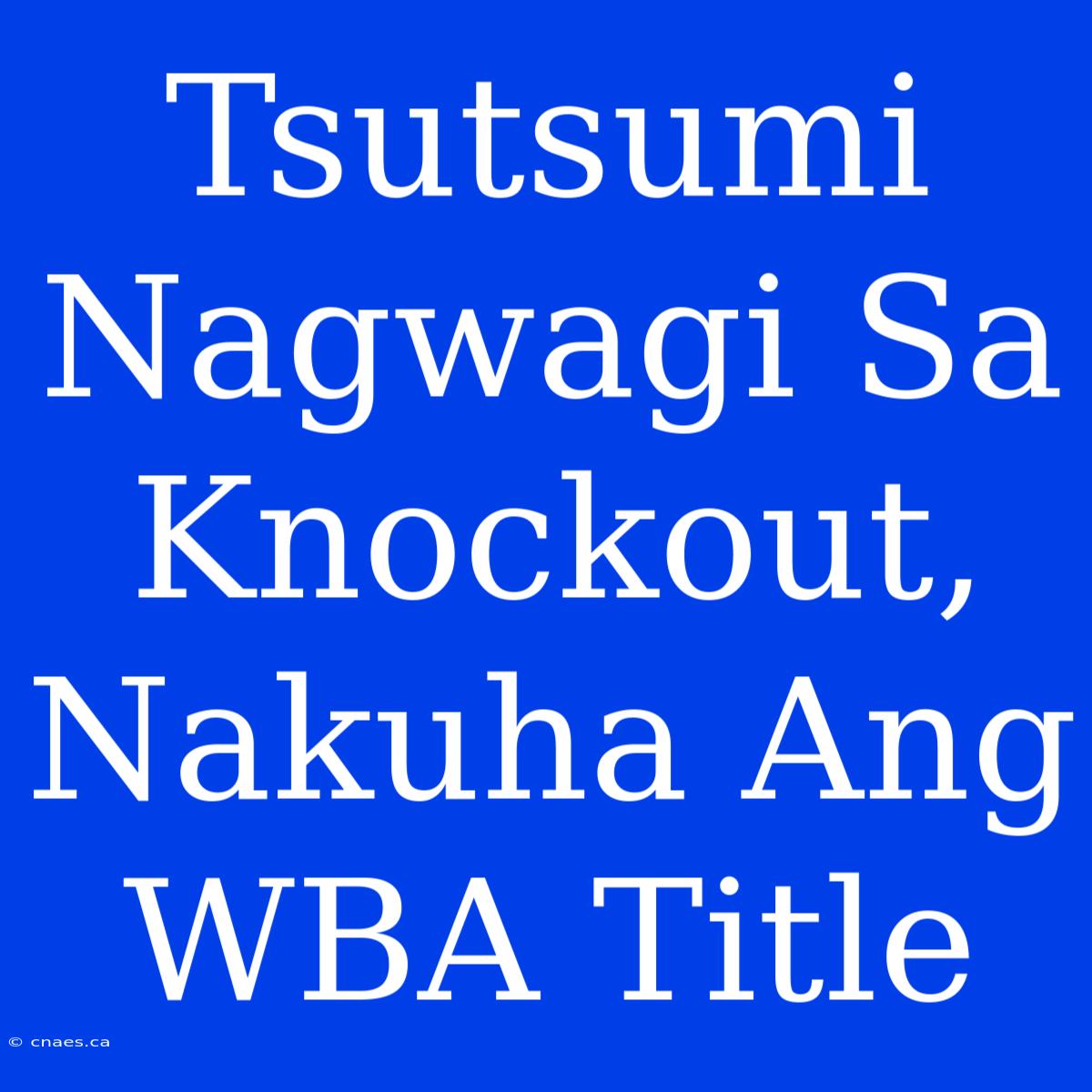 Tsutsumi Nagwagi Sa Knockout, Nakuha Ang WBA Title