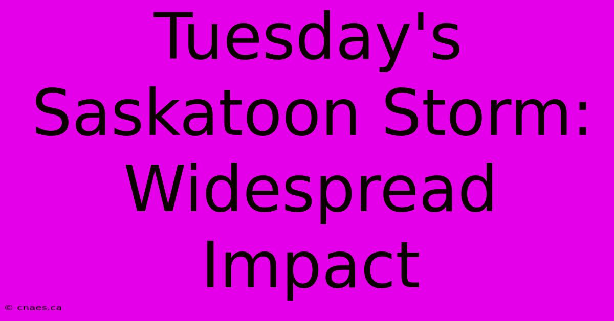 Tuesday's Saskatoon Storm: Widespread Impact