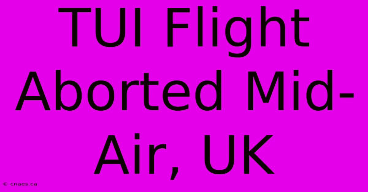 TUI Flight Aborted Mid-Air, UK