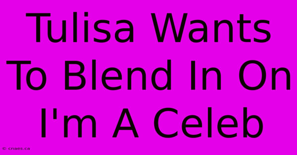 Tulisa Wants To Blend In On I'm A Celeb