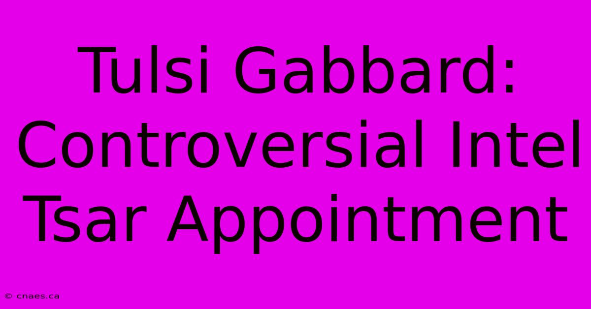 Tulsi Gabbard: Controversial Intel Tsar Appointment 