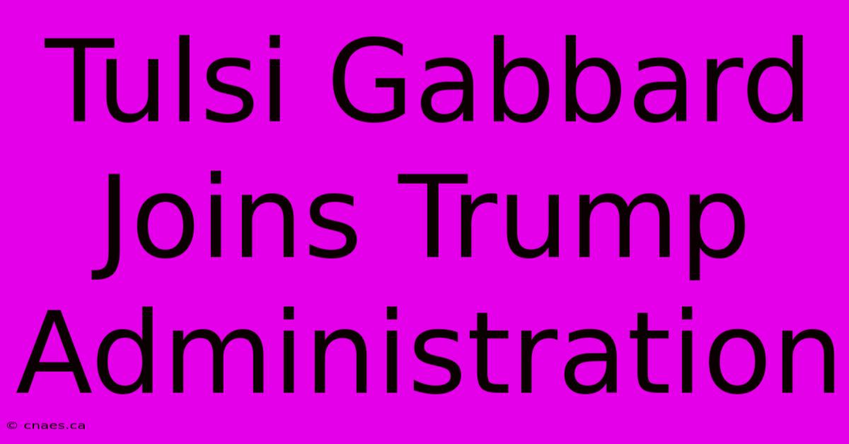 Tulsi Gabbard Joins Trump Administration 