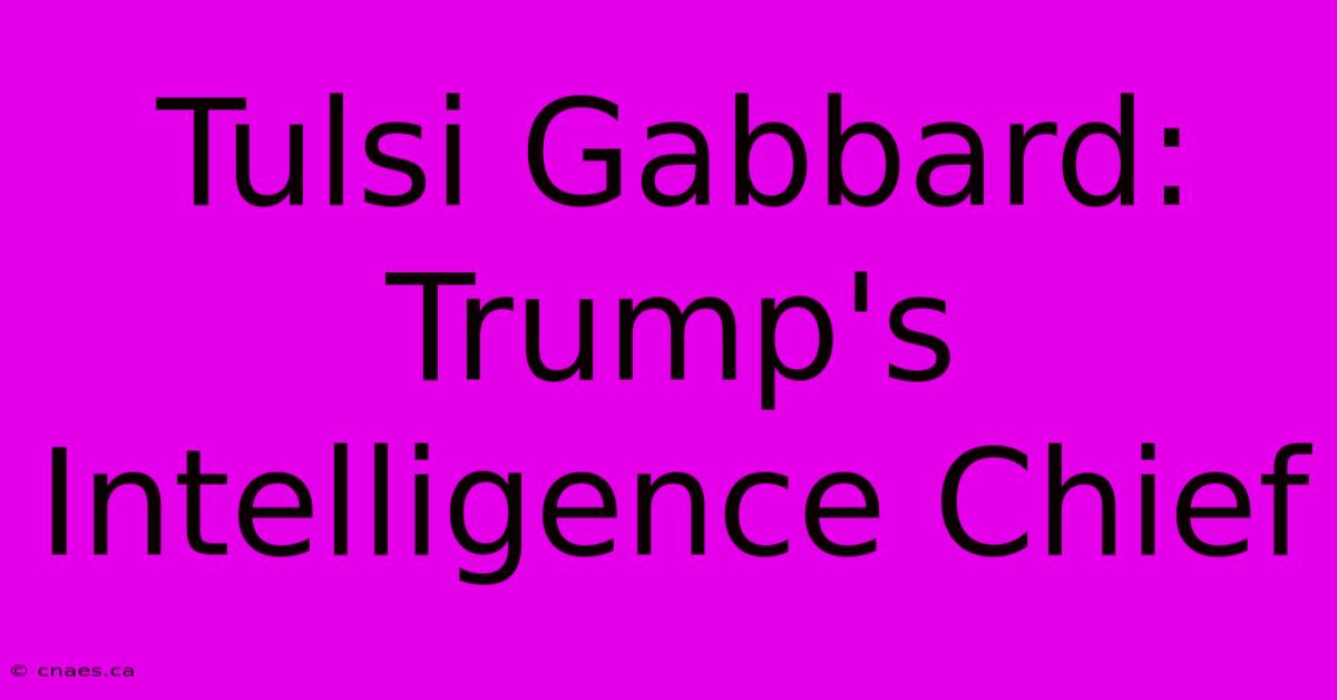 Tulsi Gabbard: Trump's Intelligence Chief