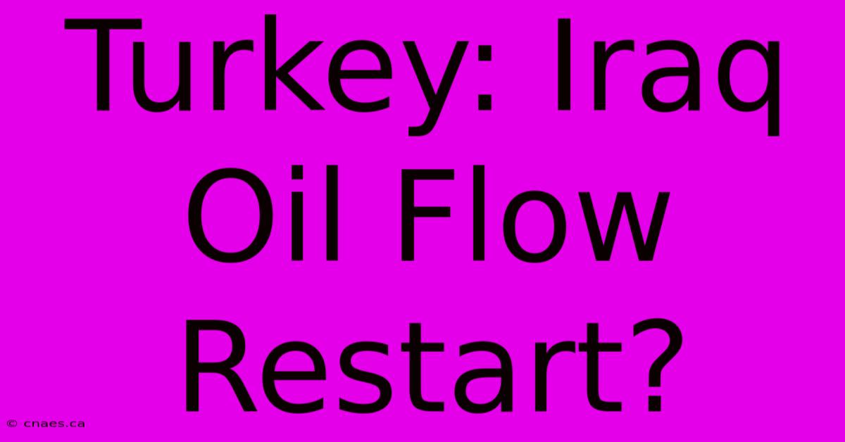 Turkey: Iraq Oil Flow Restart?