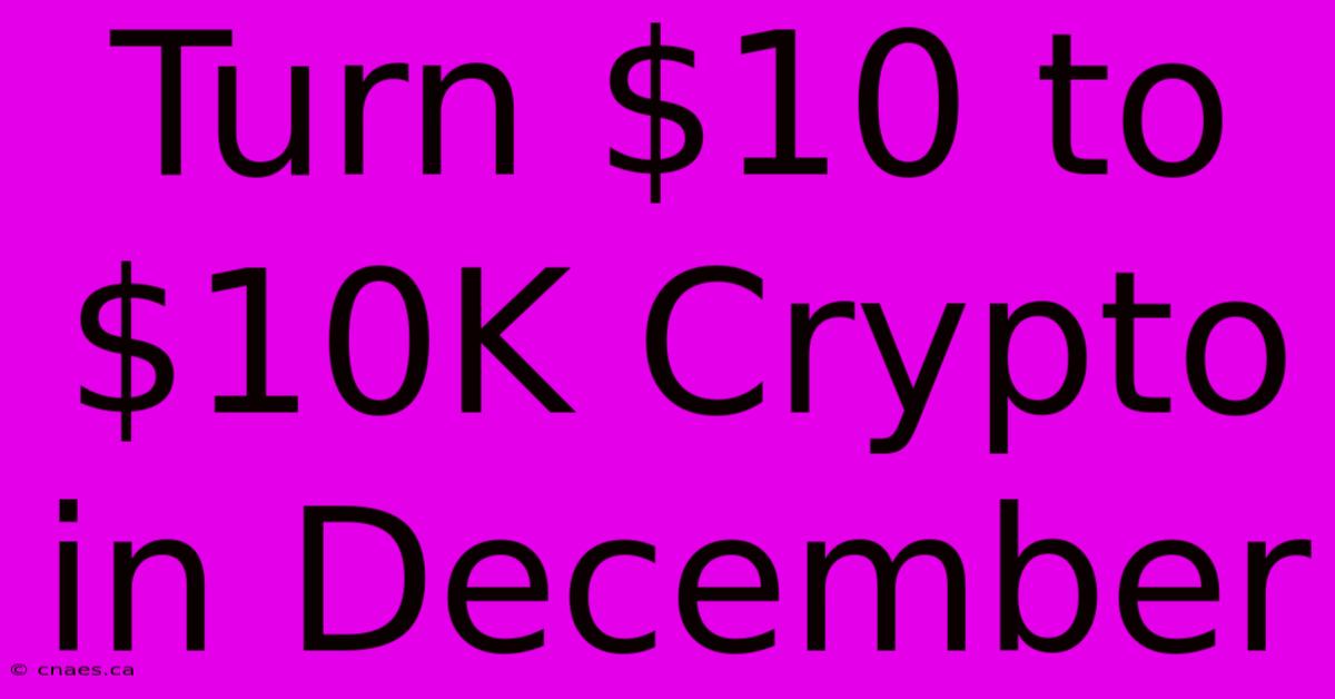 Turn $10 To $10K Crypto In December