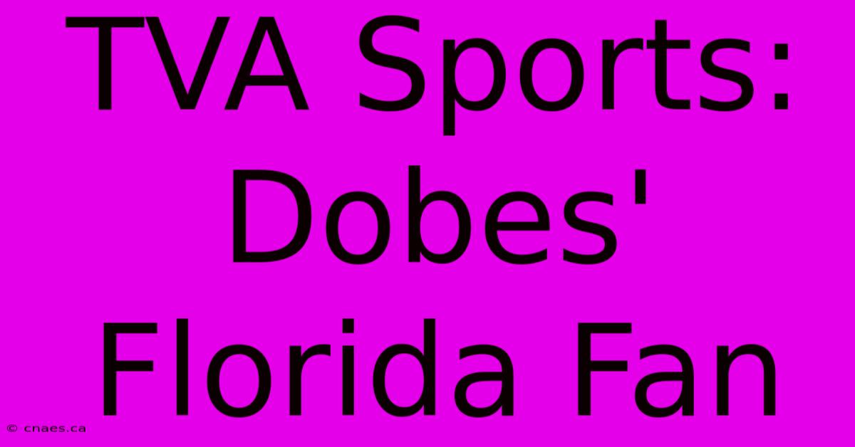 TVA Sports: Dobes' Florida Fan