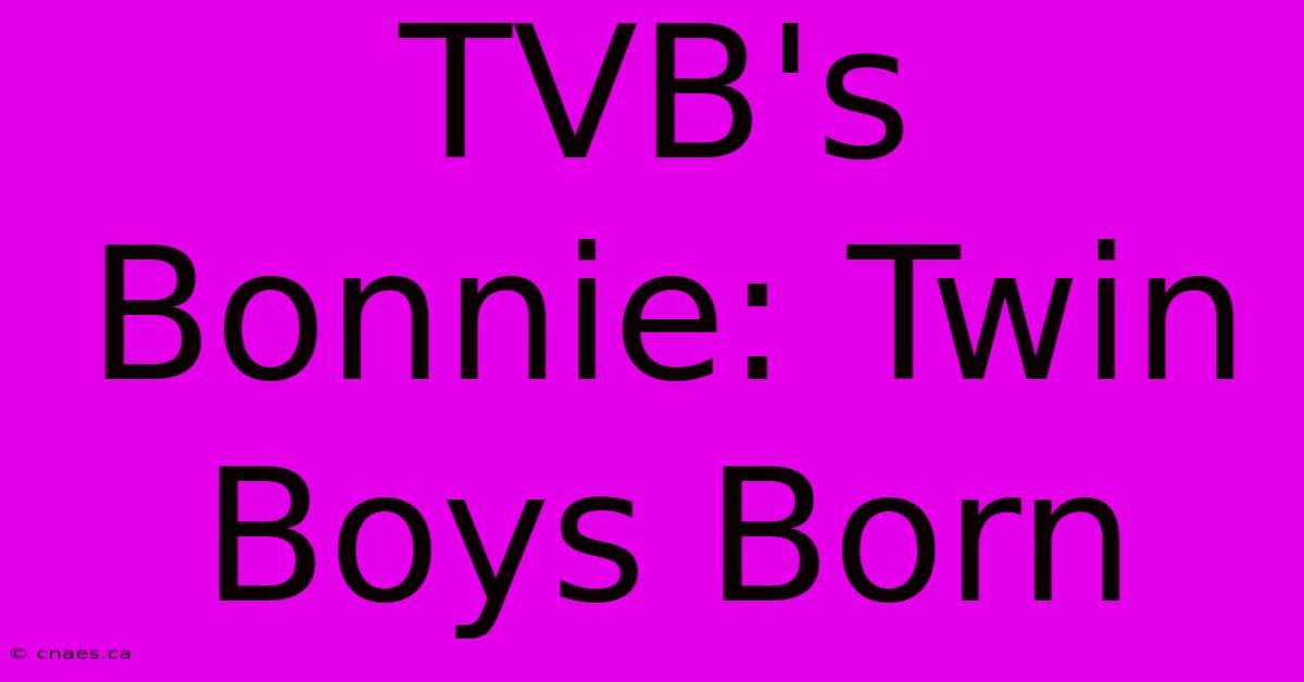 TVB's Bonnie: Twin Boys Born