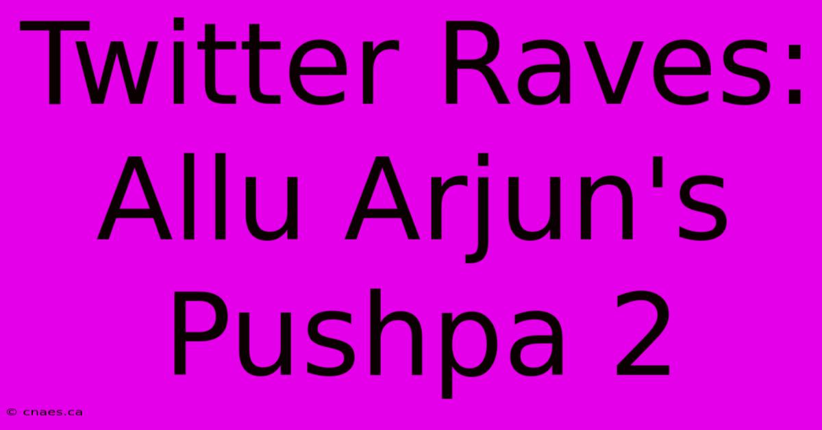 Twitter Raves: Allu Arjun's Pushpa 2