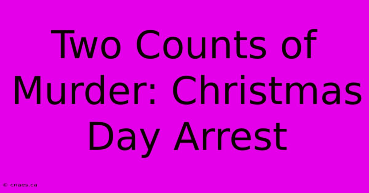 Two Counts Of Murder: Christmas Day Arrest