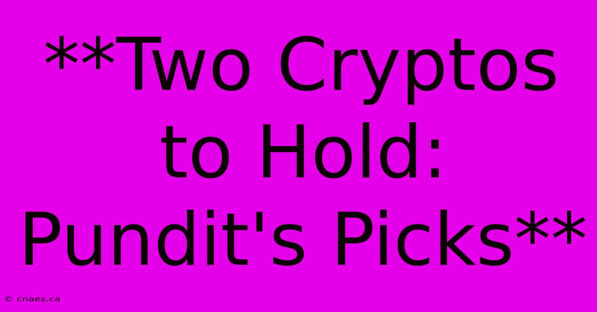 **Two Cryptos To Hold: Pundit's Picks**