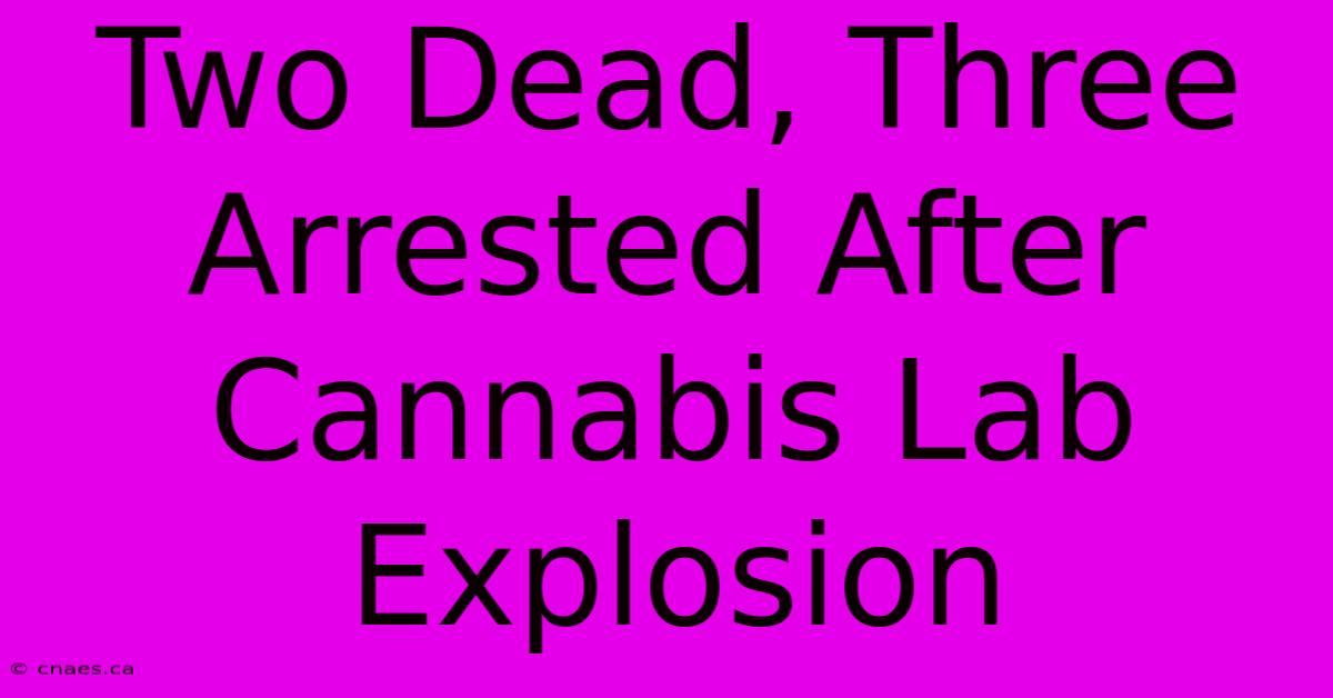 Two Dead, Three Arrested After Cannabis Lab Explosion 