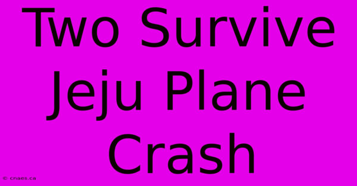 Two Survive Jeju Plane Crash