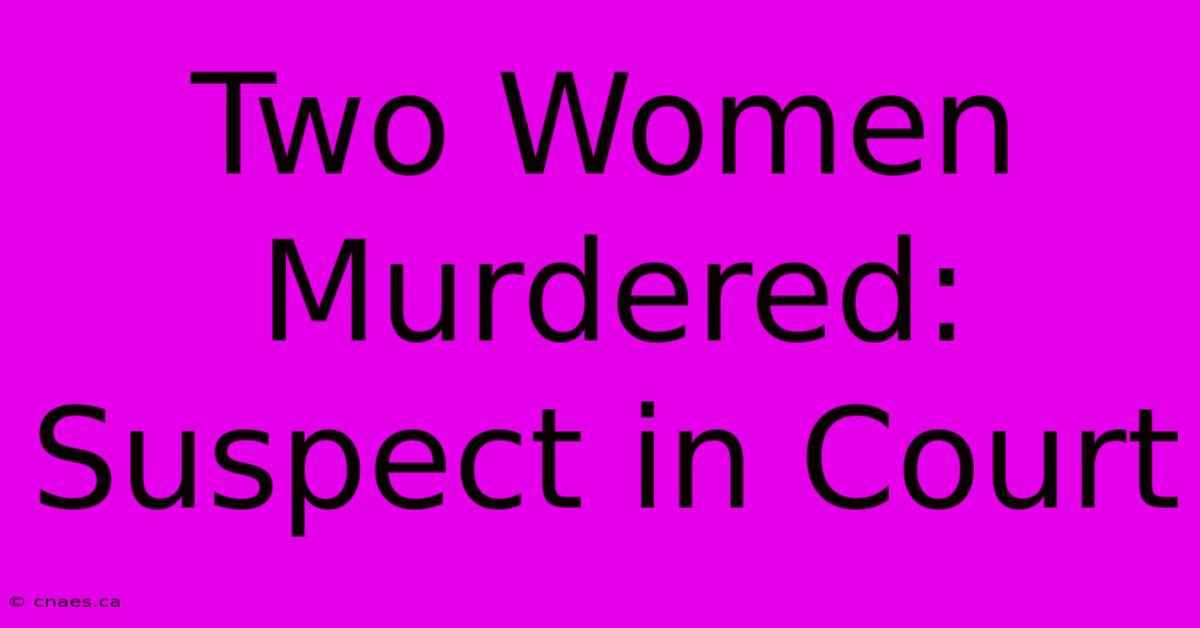 Two Women Murdered: Suspect In Court