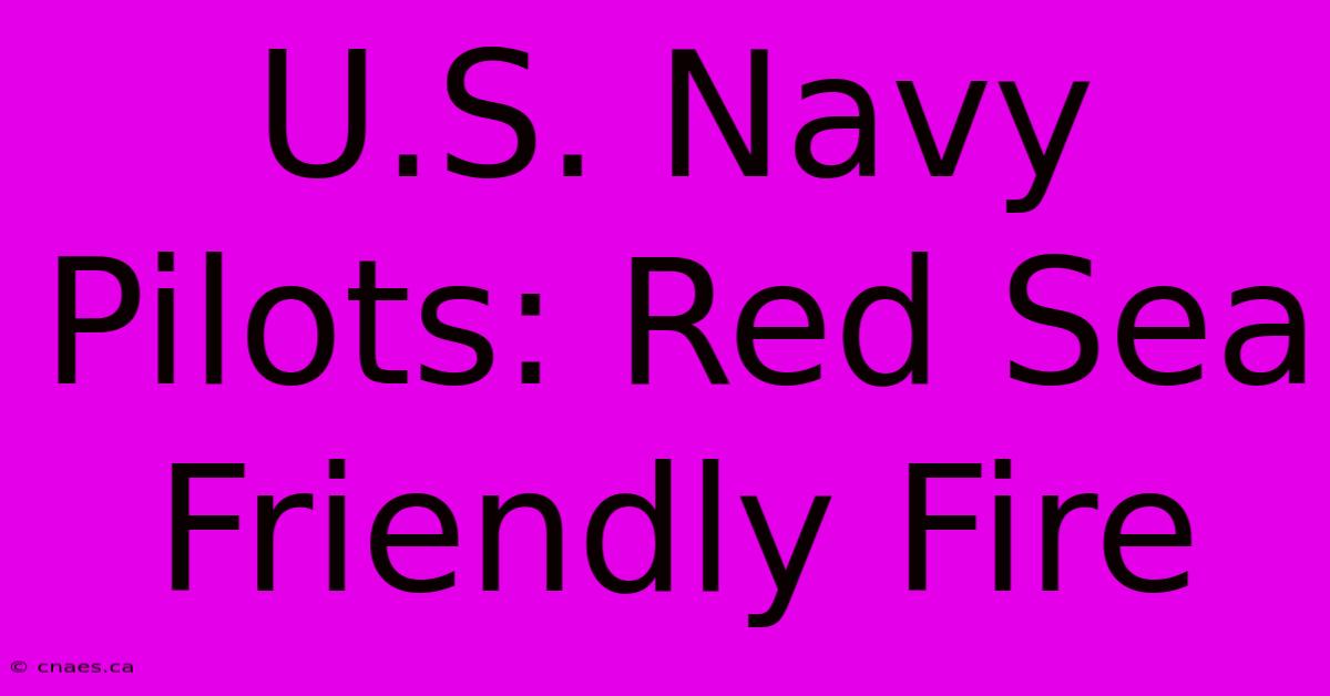 U.S. Navy Pilots: Red Sea Friendly Fire