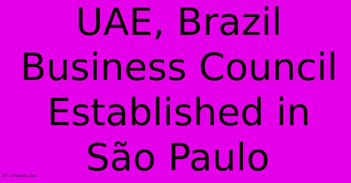 UAE, Brazil Business Council Established In São Paulo 