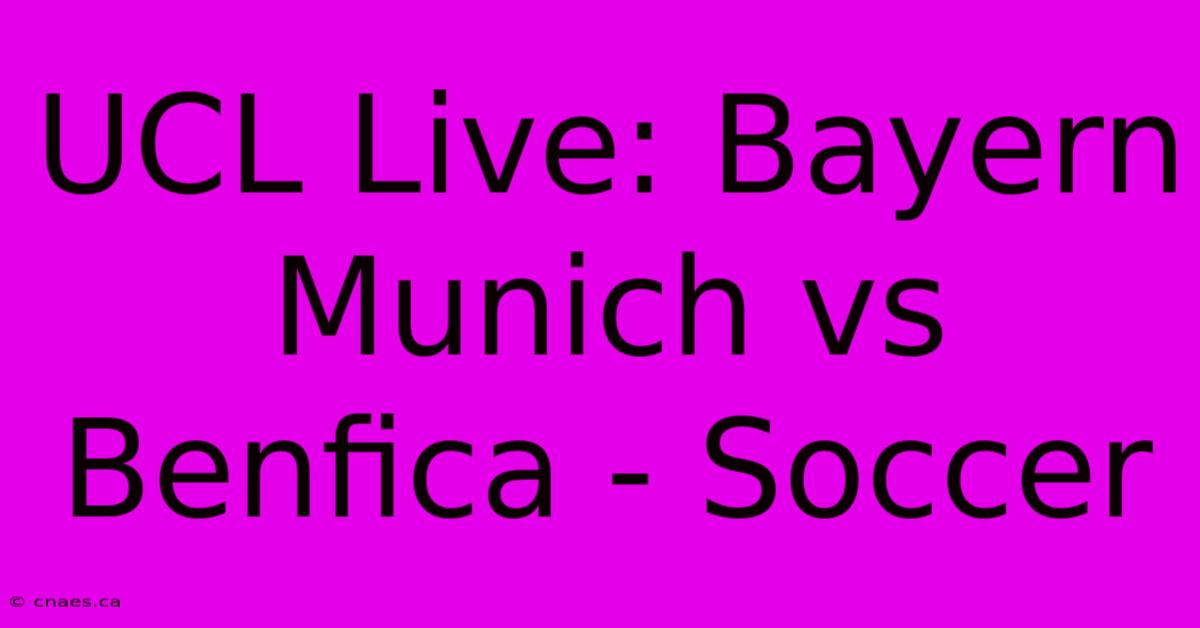 UCL Live: Bayern Munich Vs Benfica - Soccer