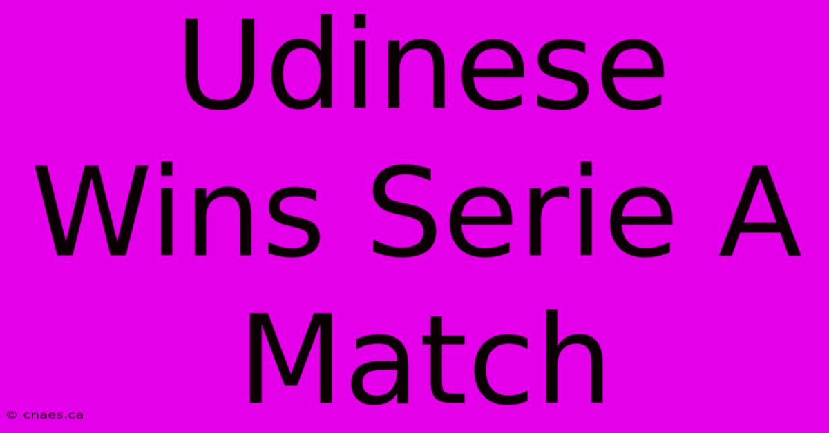 Udinese Wins Serie A Match