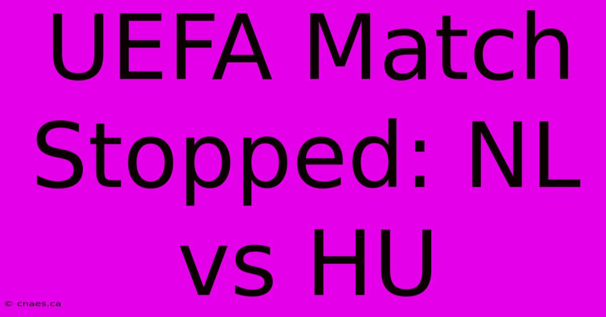 UEFA Match Stopped: NL Vs HU