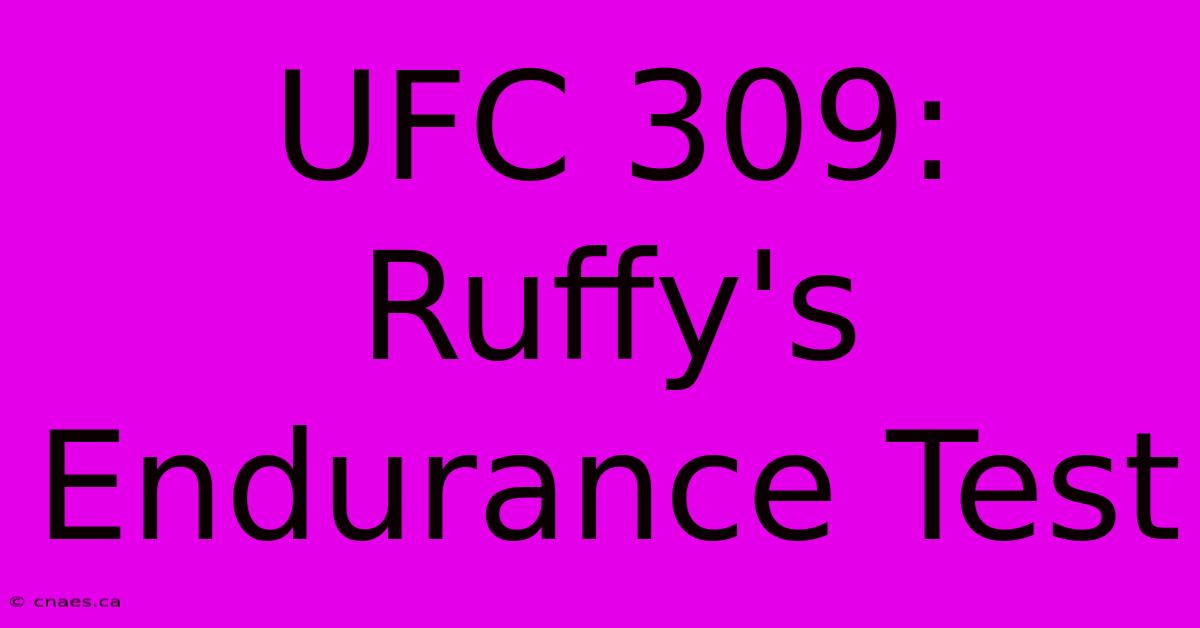 UFC 309: Ruffy's Endurance Test