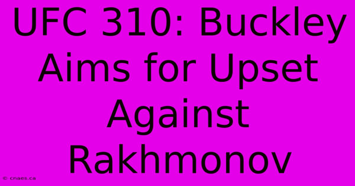 UFC 310: Buckley Aims For Upset Against Rakhmonov