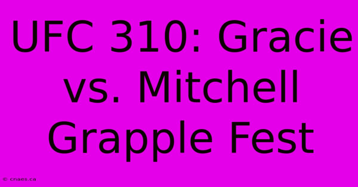 UFC 310: Gracie Vs. Mitchell Grapple Fest