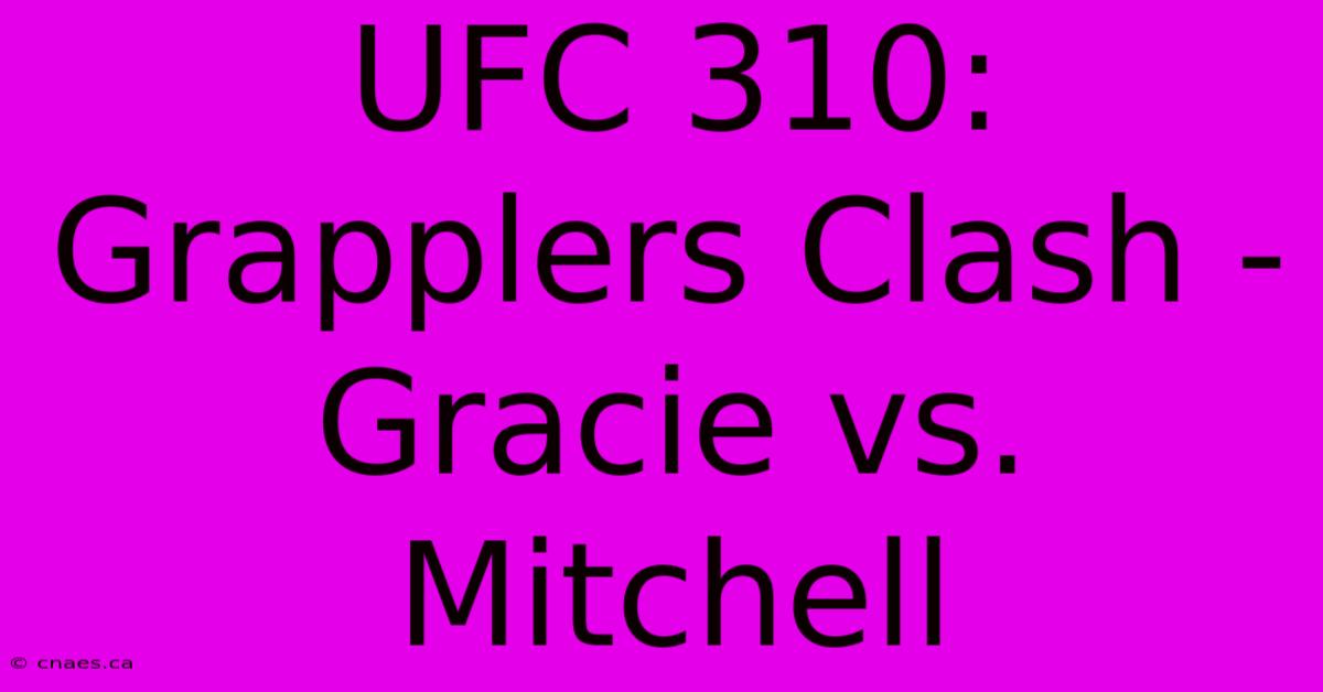 UFC 310: Grapplers Clash - Gracie Vs. Mitchell