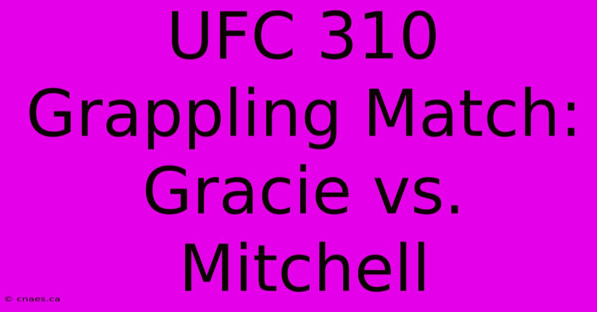 UFC 310 Grappling Match: Gracie Vs. Mitchell