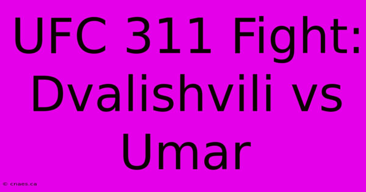 UFC 311 Fight: Dvalishvili Vs Umar