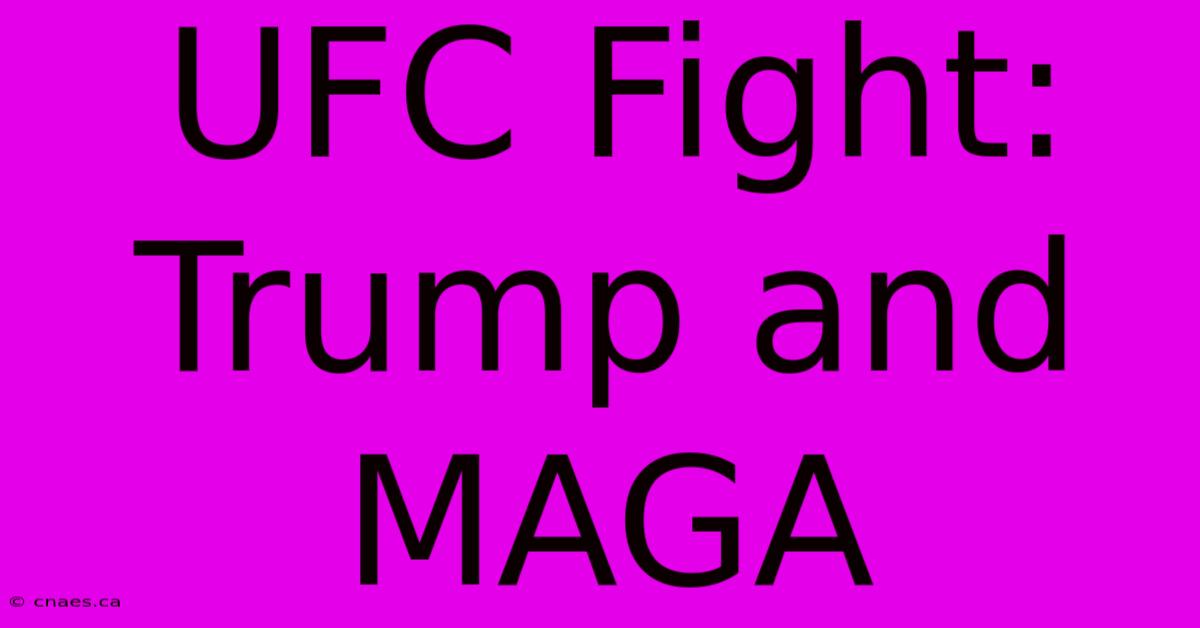 UFC Fight: Trump And MAGA