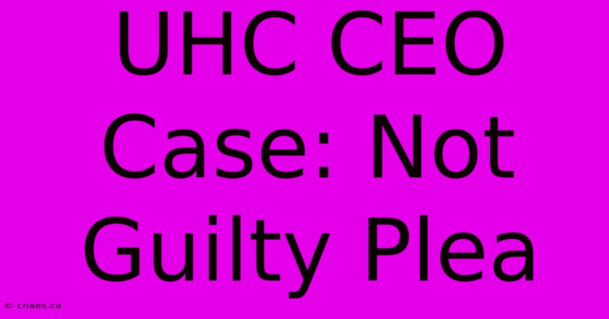 UHC CEO Case: Not Guilty Plea