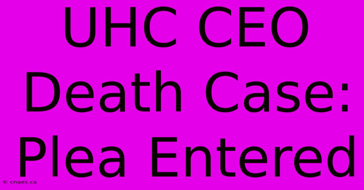 UHC CEO Death Case: Plea Entered