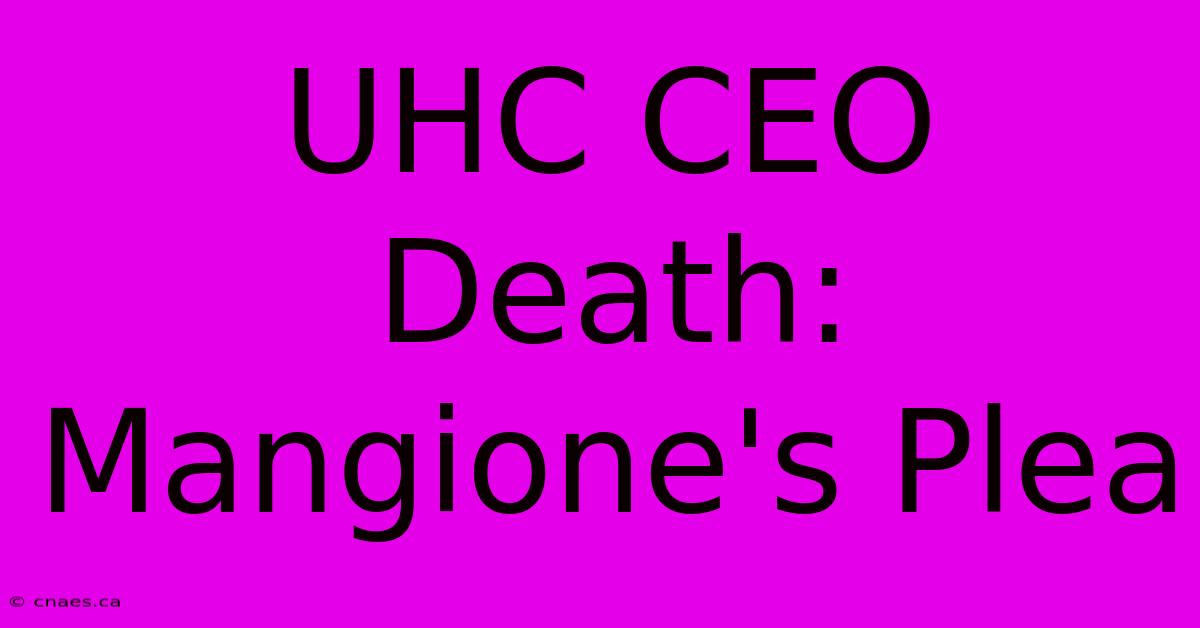 UHC CEO Death: Mangione's Plea