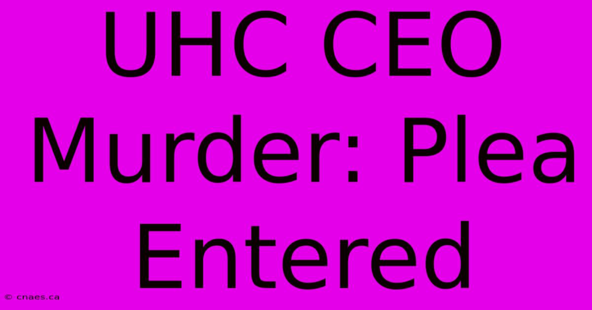 UHC CEO Murder: Plea Entered