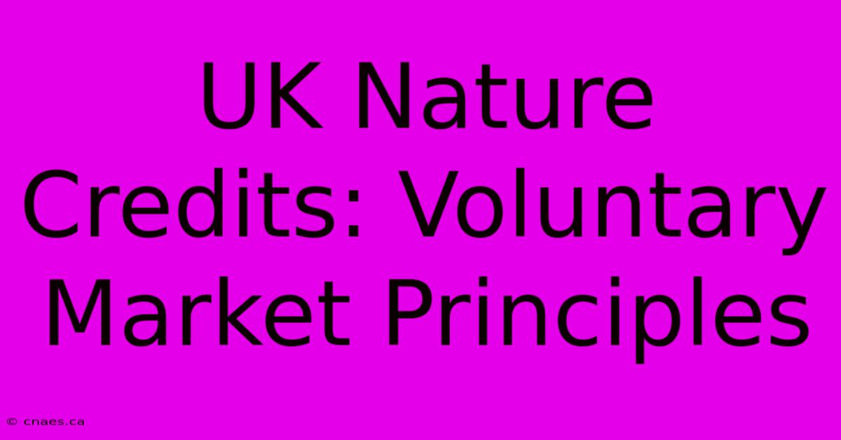 UK Nature Credits: Voluntary Market Principles