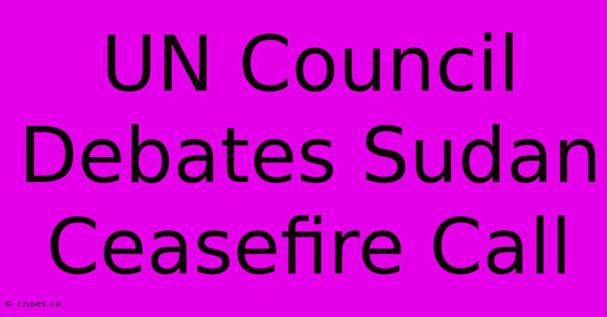 UN Council Debates Sudan Ceasefire Call