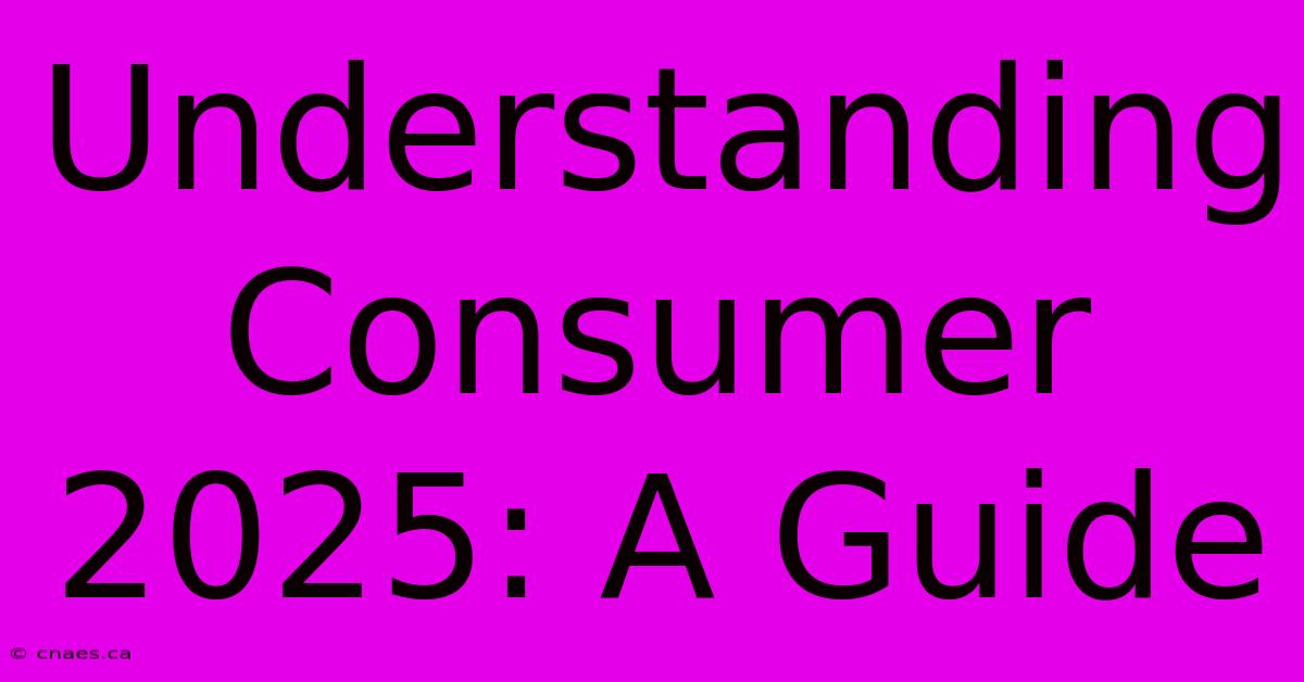 Understanding Consumer 2025: A Guide