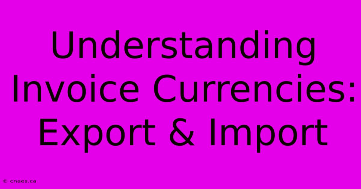 Understanding Invoice Currencies: Export & Import