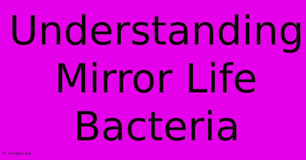 Understanding Mirror Life Bacteria