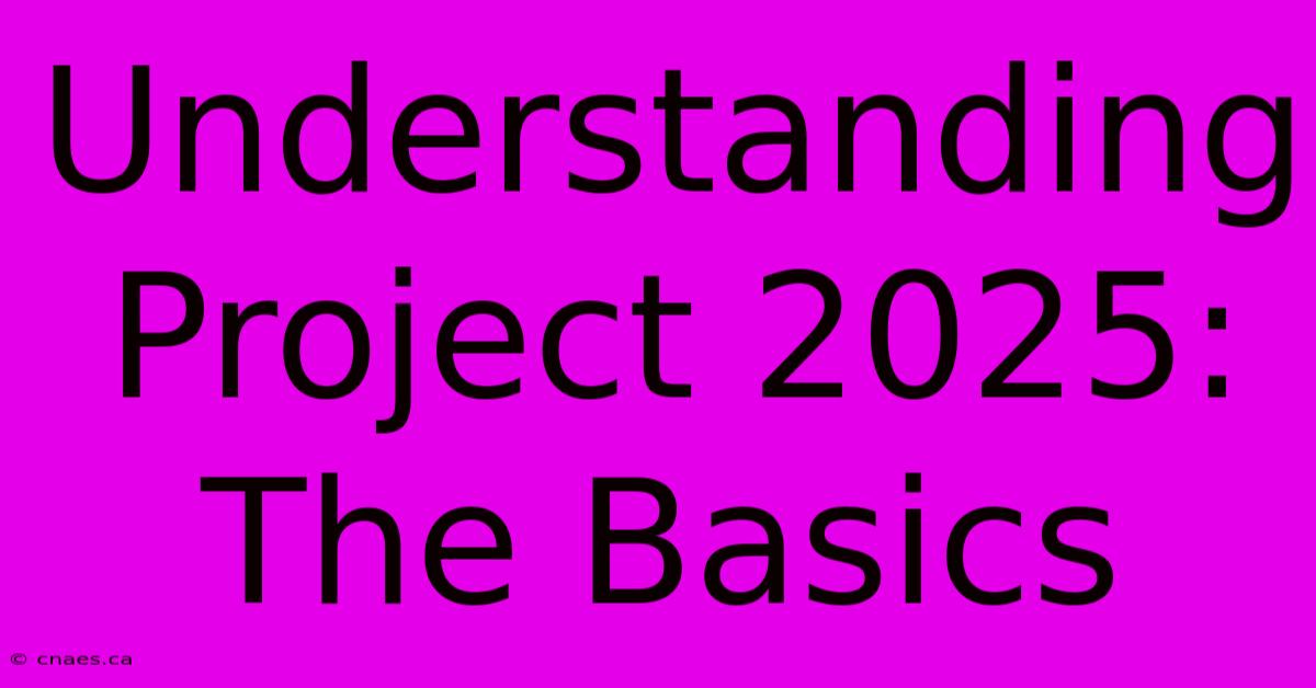 Understanding Project 2025: The Basics