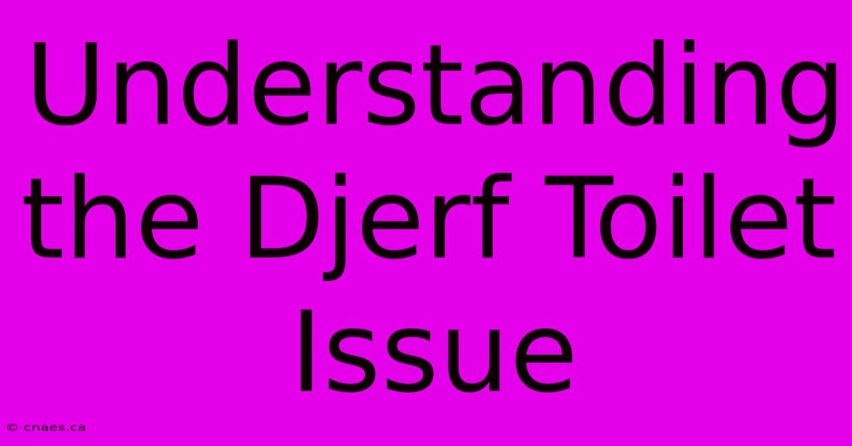 Understanding The Djerf Toilet Issue