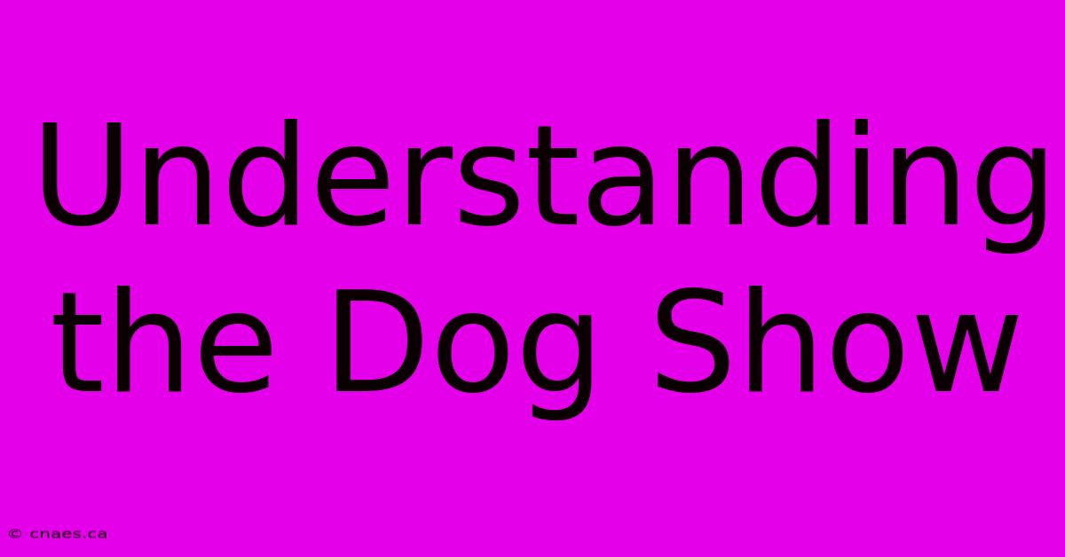 Understanding The Dog Show