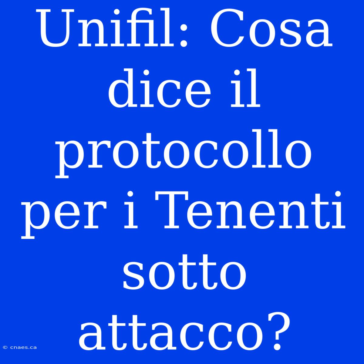 Unifil: Cosa Dice Il Protocollo Per I Tenenti Sotto Attacco?