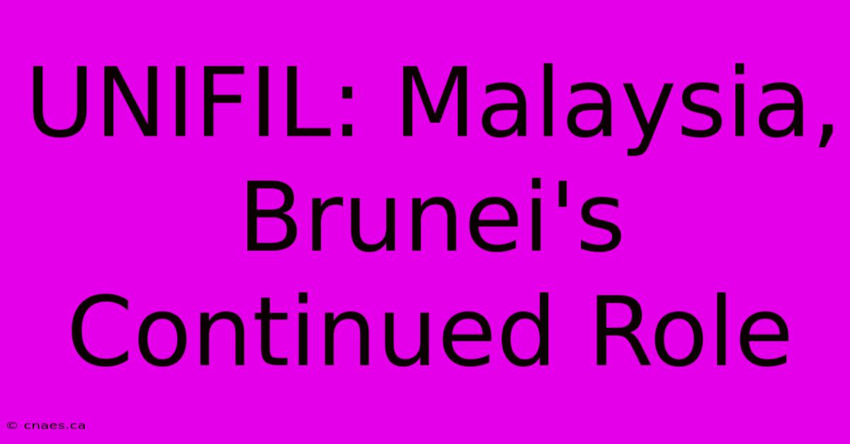 UNIFIL: Malaysia, Brunei's Continued Role