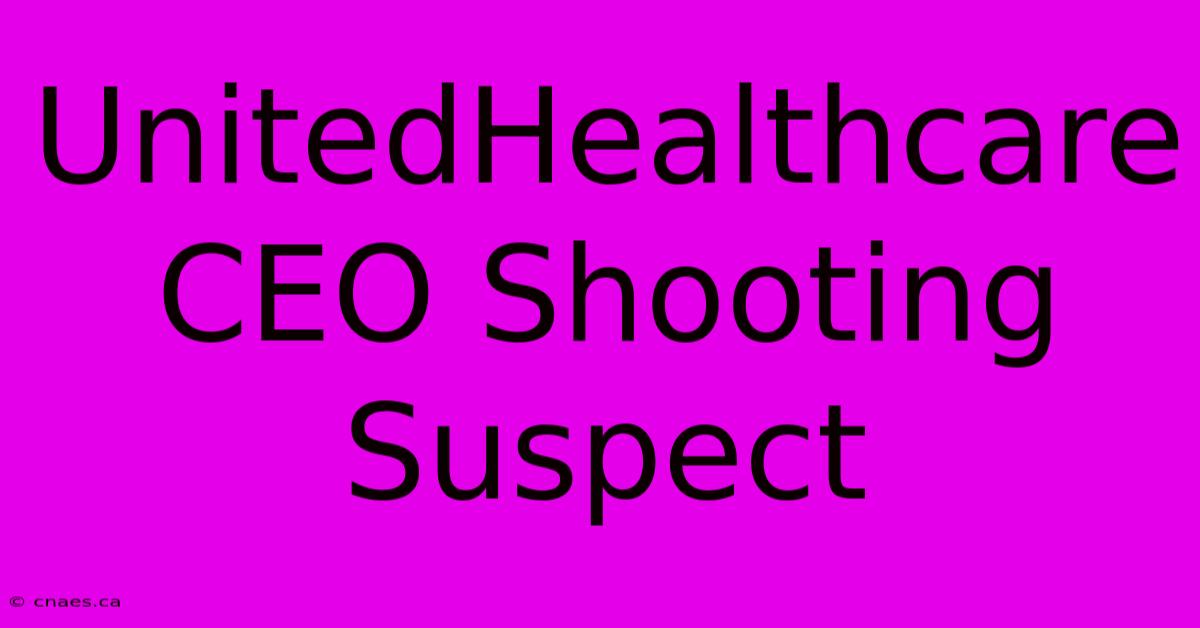 UnitedHealthcare CEO Shooting Suspect